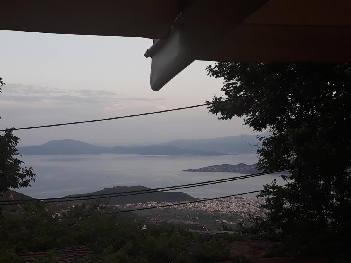 Mansion Theodora Ξενοδοχείο Μακρινίτσα Εξωτερικό φωτογραφία