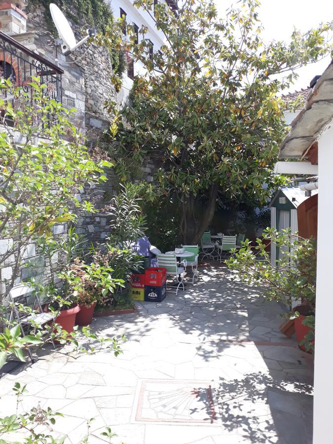 Mansion Theodora Ξενοδοχείο Μακρινίτσα Εξωτερικό φωτογραφία