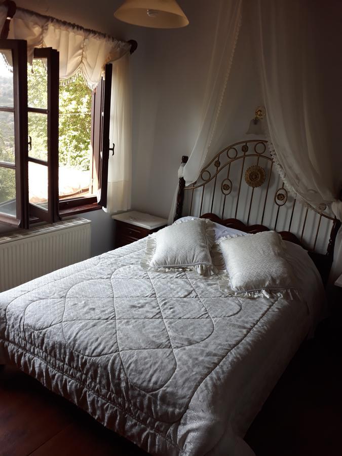 Mansion Theodora Ξενοδοχείο Μακρινίτσα Εξωτερικό φωτογραφία